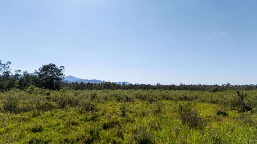 Commercial Property for Sale in Plettenberg Bay Rural Western Cape